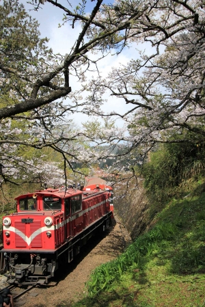 阿里山之旅 ^.^