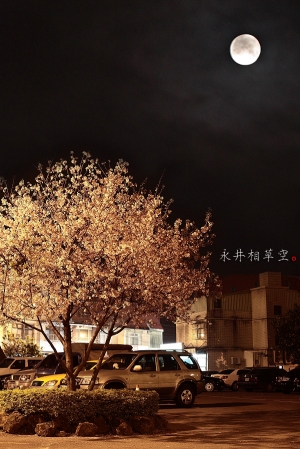 -= 無 極 天 元 宮 =-