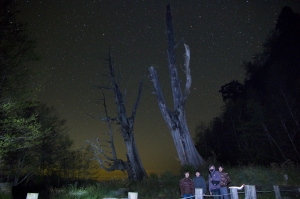 那些年我們一起追的星空回憶