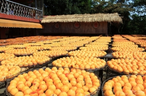 2011 新埔 味衛佳柿餅 閒晃趣