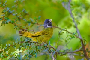 試拍 萬滴也是馬克淑麗
