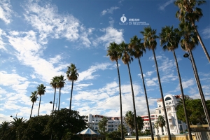 法國(八)坎城