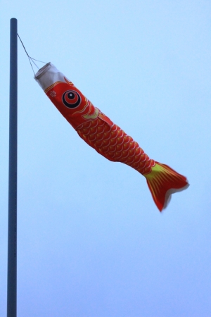 鼻頭角某一處!!