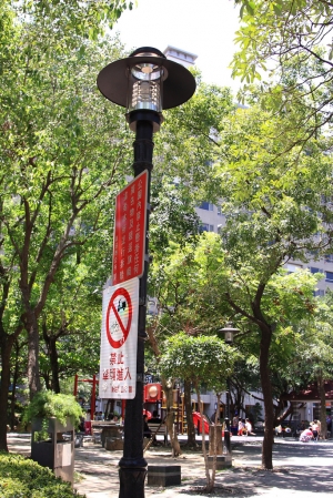假日隨拍
