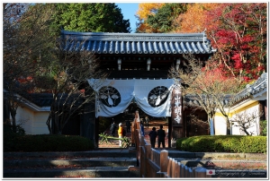 2010 紅葉の京都 - VOL 1.1 - 光明寺 - 爺爺與奶奶相遇的地方