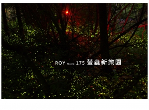 ROY Macro 175 │ 螢 蟲 新 樂 園