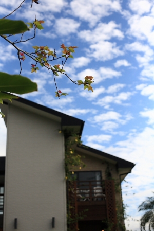 心蓉-四日遊（花蓮---->中壢）