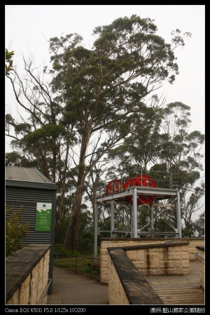 澳洲九日遊：藍山公園 隨拍分享