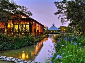 桃園八德埤塘生態公園