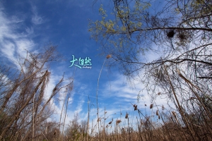 ::: One Day in Nature 大自然一日遊 by DV :::