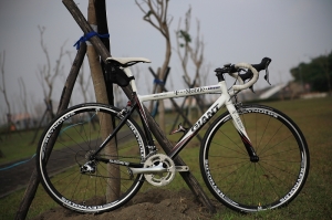 我的戰駒TCR ALLIANCE TEAM +Reynolds Solitude