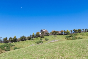 清境農場之青青草原(一張流)