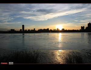 今天人超多的大稻呈