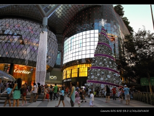 耶诞在乌节路 2012