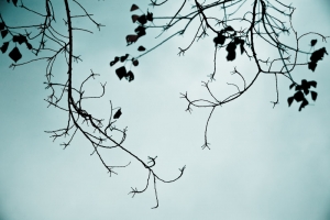 10℃，尋找生息