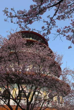 ++ 索羅門@新北淡水~遲到的無極天元宮 ++