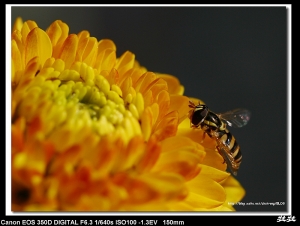 銅鑼一日遊 韓鄉村牛肉麵+肚臍餅+杭菊