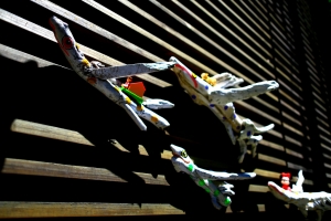 魚在飛 心在飛 球也飛 ~