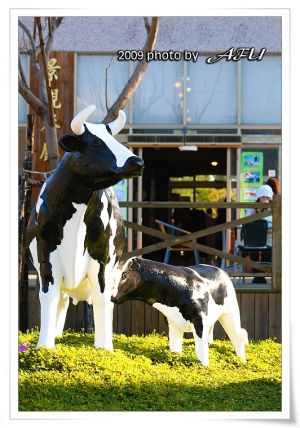 台東 初鹿牧場-新春趴趴走 part2