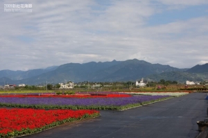 還沒開幕就跑去偷拍新社花海...被趕人了