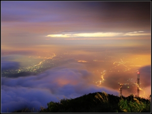 嘉義縣碧湖觀光茶園