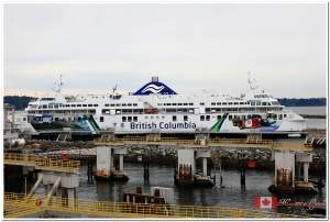 2011 Canada 加拿大之旅 - 有花園之都與退休樂園之稱的維多利
