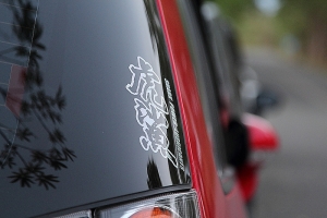 小小白的散景之旅