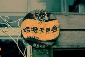 宅男PO圖之不會拍花~~~~