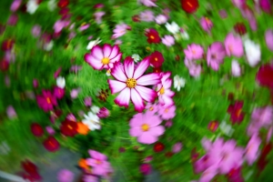 眼  " 花   "   撩     亂    ( 新  社 )