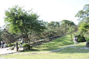 極具日式風格的寺廟 - 淡水緣道觀音廟