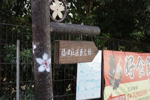 油桐花之晚了一步等於沒花