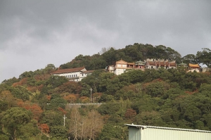 台北汐萬路拱北殿的楓葉紅了