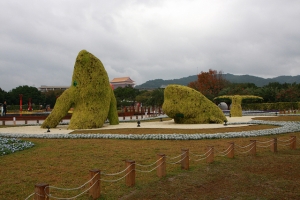 陰雨綿綿的花博