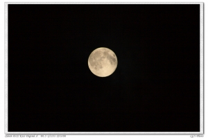 十六月夜 月升 月落 日出