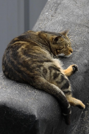 侯硐～凋零又重生