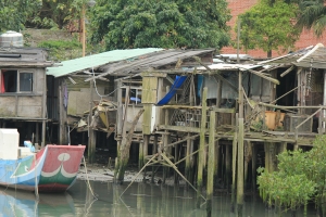 捷運淡水站一角 與天元宮櫻花 請指教