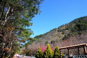 風光明媚-清境 合歡山 武陵農場
