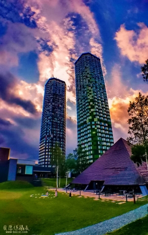 夏の花海雲海行【瞭望絕景秘境趣】
