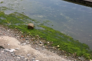 3天晴天之一 東北角