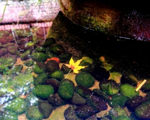 華陶窯風情