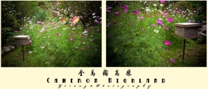 金馬倫高原～圖多～