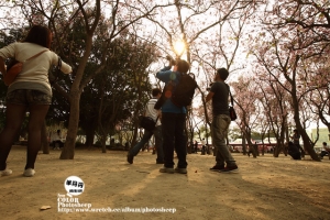台南中正公園&nbsp;&nbsp;花開了&nbsp;&nbsp;人味也開了!!