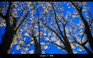 陽明。山 by 存摺