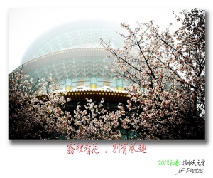 連CF 都被天元宮塞爆了~