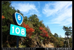 中橫八號省道108Km公路邊的神秘楓景