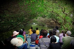 四草沼澤地遊湖-新手發帖