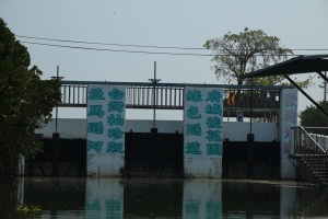 台南四草"綠色隧道"