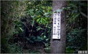 文林生態古道
