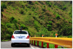 玉山杜鵑開滿山 藍天美景相輝映