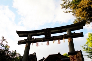 京阪神&nbsp;&nbsp;0 0隨手拍~~~見笑了~~